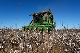 A cotton picker moves through Chris Hopkins' cotton field, Dec. 6, 2024, near Lyons, Ga.