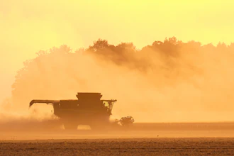 Soybeans are harvested on the Warpup Farm in Warren, Ind., Wednesday, Sept. 17, 2025.