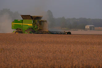 Soybeans are harvested on the Warpup Farm in Warren, Ind., Sept. 17, 2025.