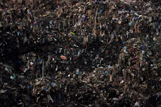 Shredded organic materials are piled up at a GreenWaste Renewable Energy Digestion Facility in San Jose, Calif., Oct. 27, 2023.