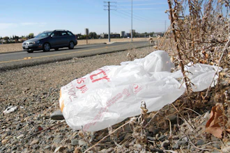 A plastic shopping bag liters the roadside in Sacramento, Calif, Friday, Oct. 25, 2013.