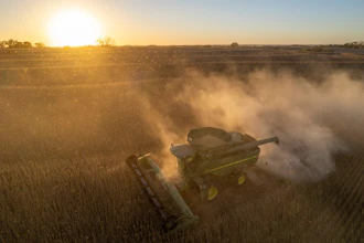 Rodney Egger harvests soybeans with a combine on Wednesday, Oct. 22, 2025, south of Lincoln, Neb.