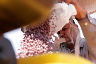 A farm worker fills a seeder with soy seeds at the Morada do Sol farm in Santa Cruz do Rio Pardo, Sao Paulo state, Brazil, Oct. 15, 2025.