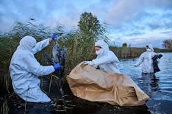 Environmental workers collect the bodies of the birds have died from bird flu in a lake in Linum, Brandenburg, Germany, Oct. 27, 2025.