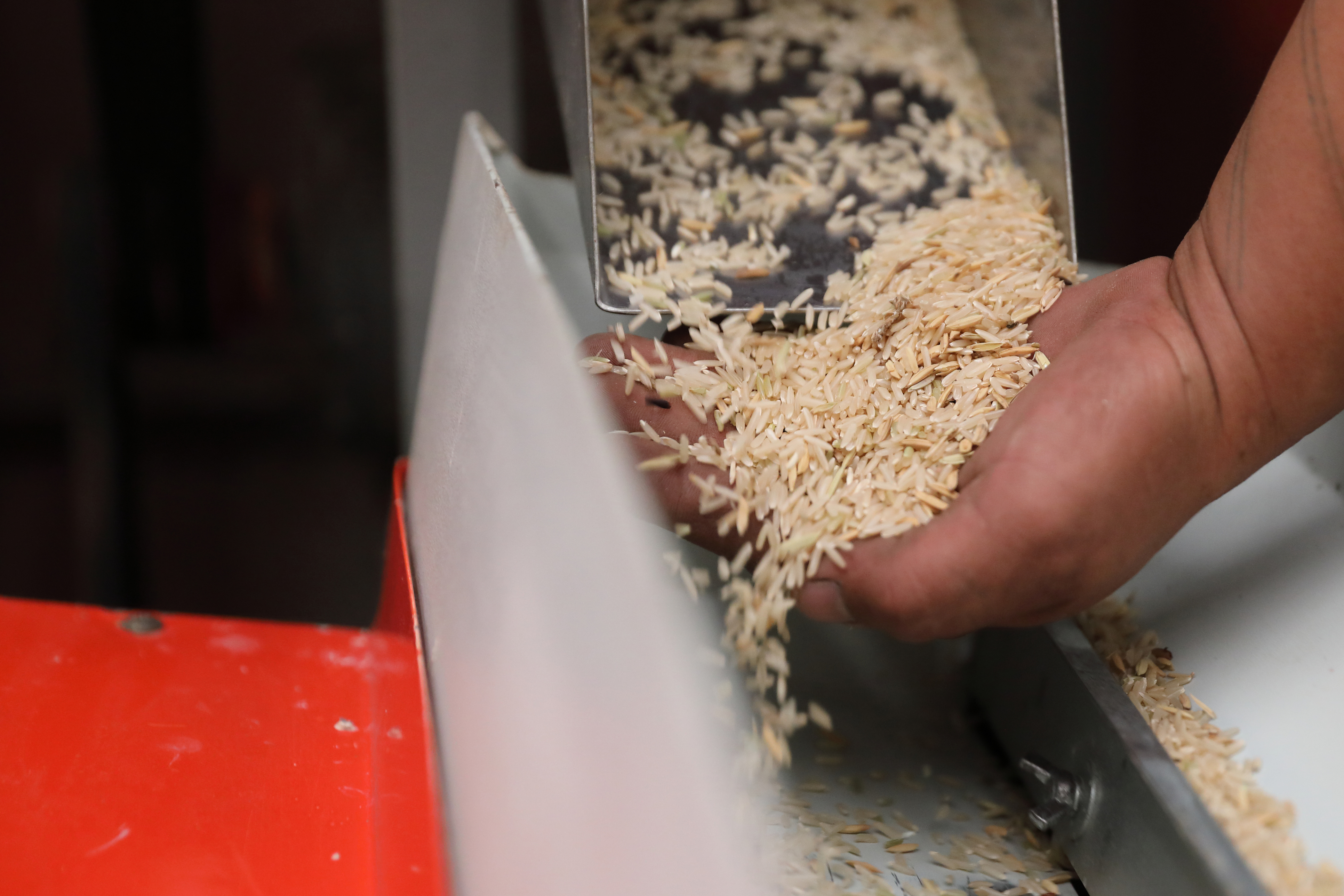 Factory machine Milling rice.