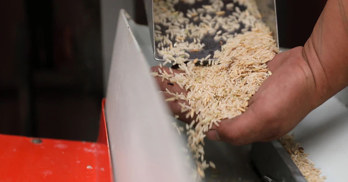 Select Rice 9090 Ben’s Original Issues Recall of Select Rice Products Due to Possible ...