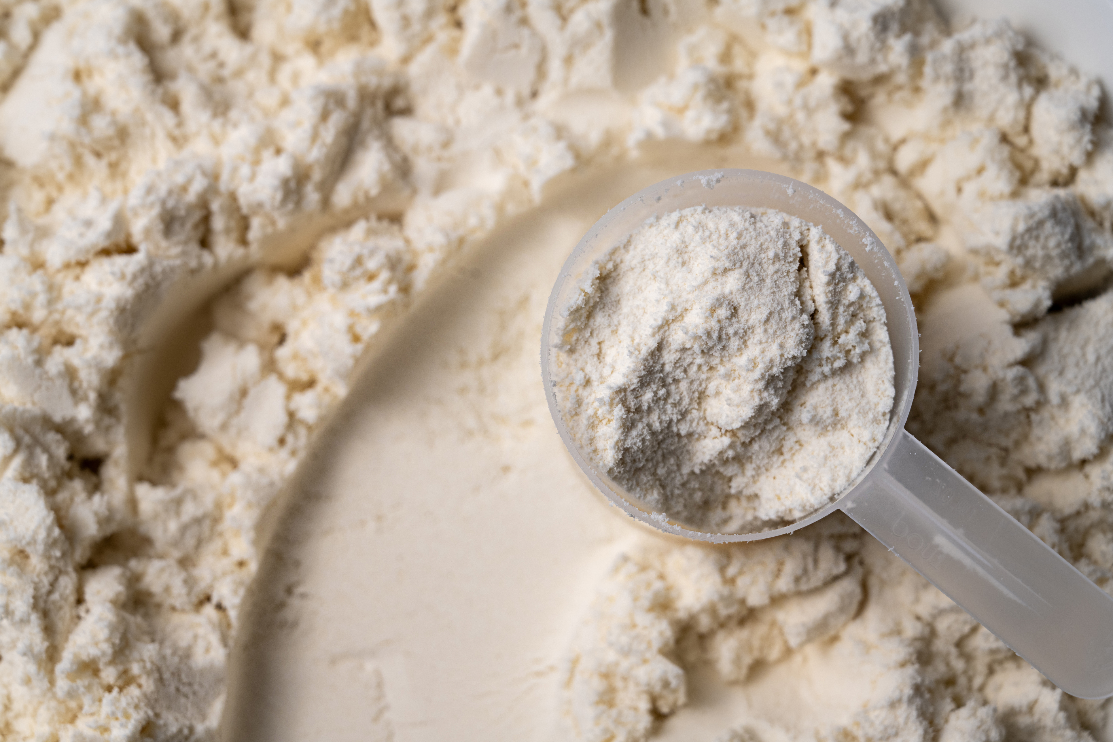 Whey protein powder.