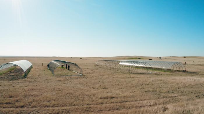 The Semi-arid Grassland Research Center in northern Colorado. One of the sites used for the International Drought Experiment.