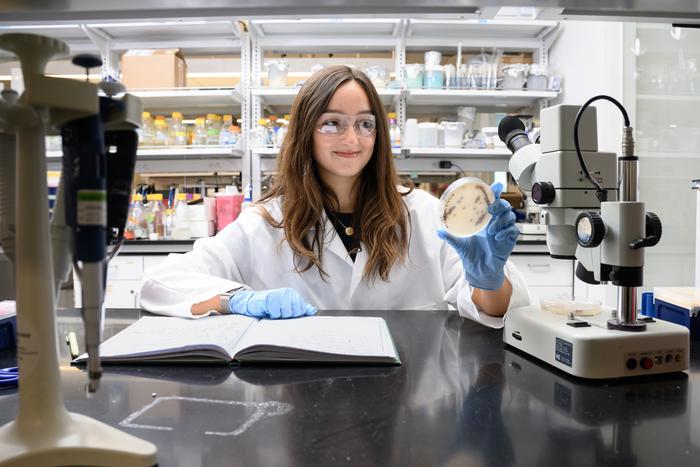 Alex Pipinos, lead author of the new study, looks at a bacterial culture of Streptomyces coelicolor.