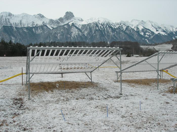 Experiment site Allmend in Switzerland.
