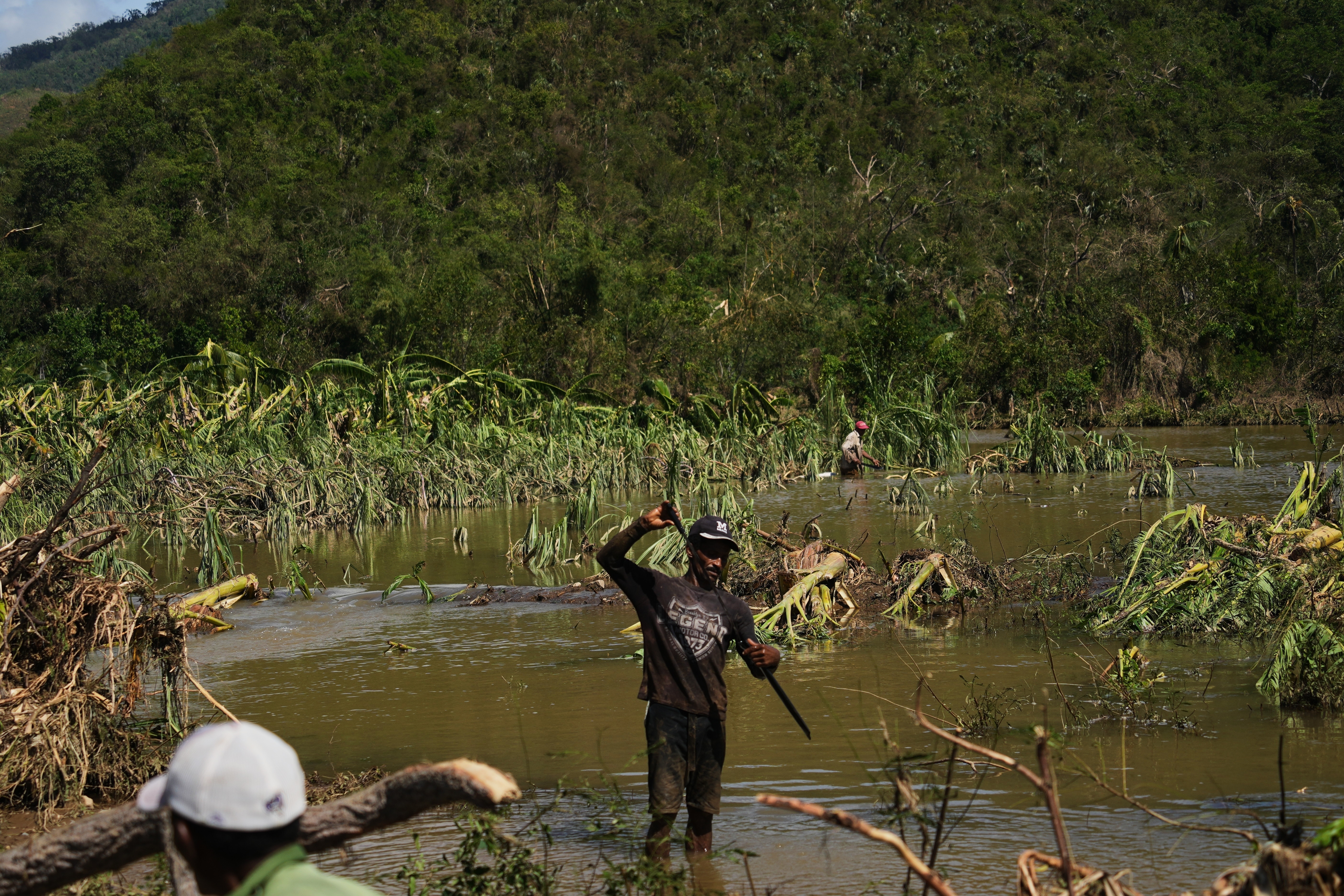 A man works in a banana field after Hurricane Melissa passed though the southern coast of Santiago de Cuba, Thursday, Oct. 30, 2025.
