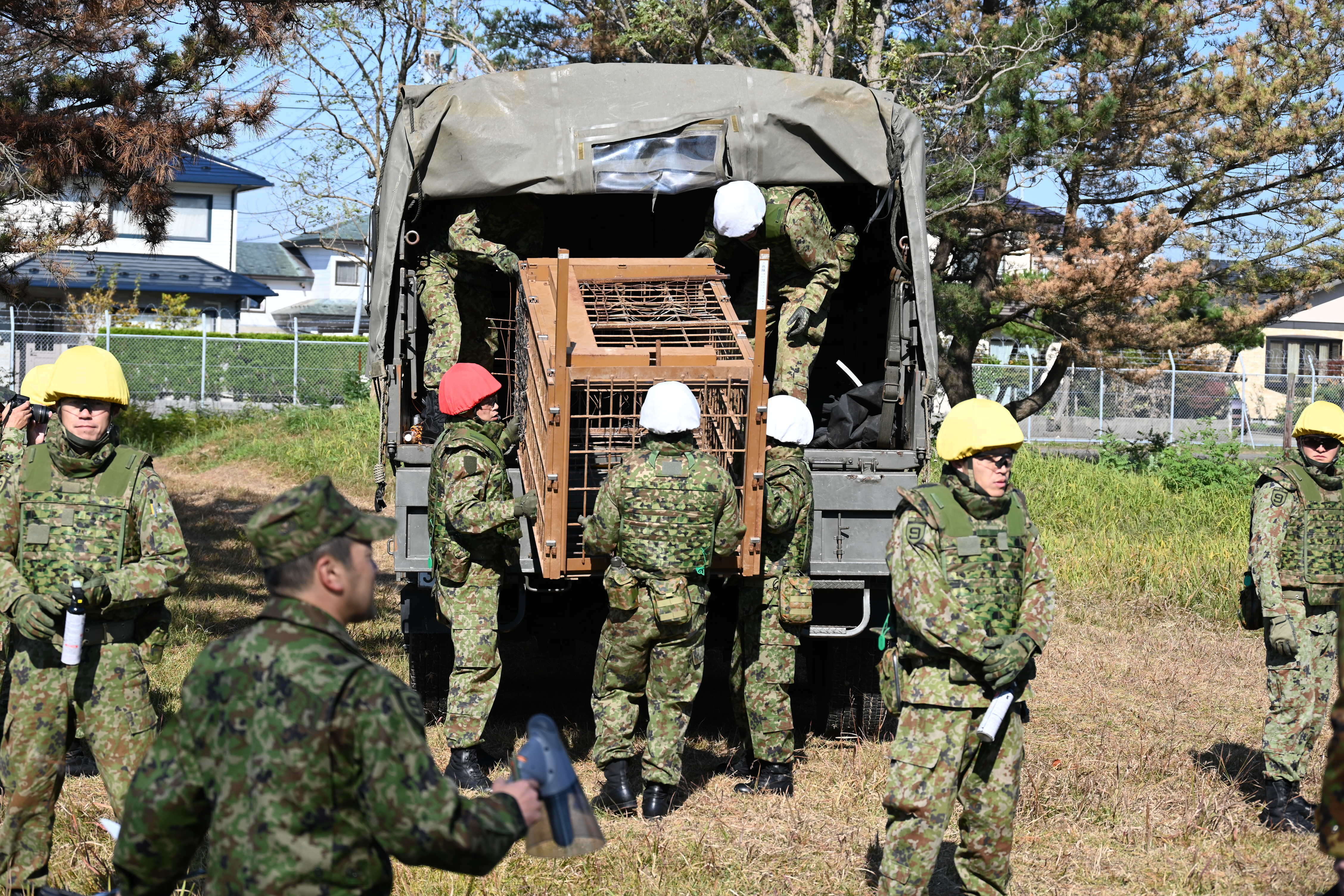 In this photo provided by the Japan Self-Defense Forces Akita Camp, Self-Defense forces personnel unload a bear cage from a military truck in JSDF Akita Camp, Akita, northern Japan, Oct. 30, 2025.