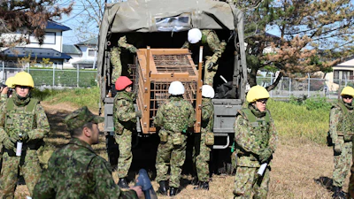 In this photo provided by the Japan Self-Defense Forces Akita Camp, Self-Defense forces personnel unload a bear cage from a military truck in JSDF Akita Camp, Akita, northern Japan, Oct. 30, 2025.