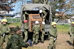 In this photo provided by the Japan Self-Defense Forces Akita Camp, Self-Defense forces personnel unload a bear cage from a military truck in JSDF Akita Camp, Akita, northern Japan, Oct. 30, 2025.