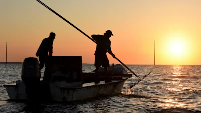 The work day begins early for oyster harvesters on May 25, 2016, in the Florida panhandle's Apalachicola Bay.