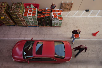 Volunteers help load vehicles during a food distribution at the San Antonio Food Bank for SNAP recipients and other households affected by the federal shutdown, Thursday, Nov. 6, 2025, in San Antonio.