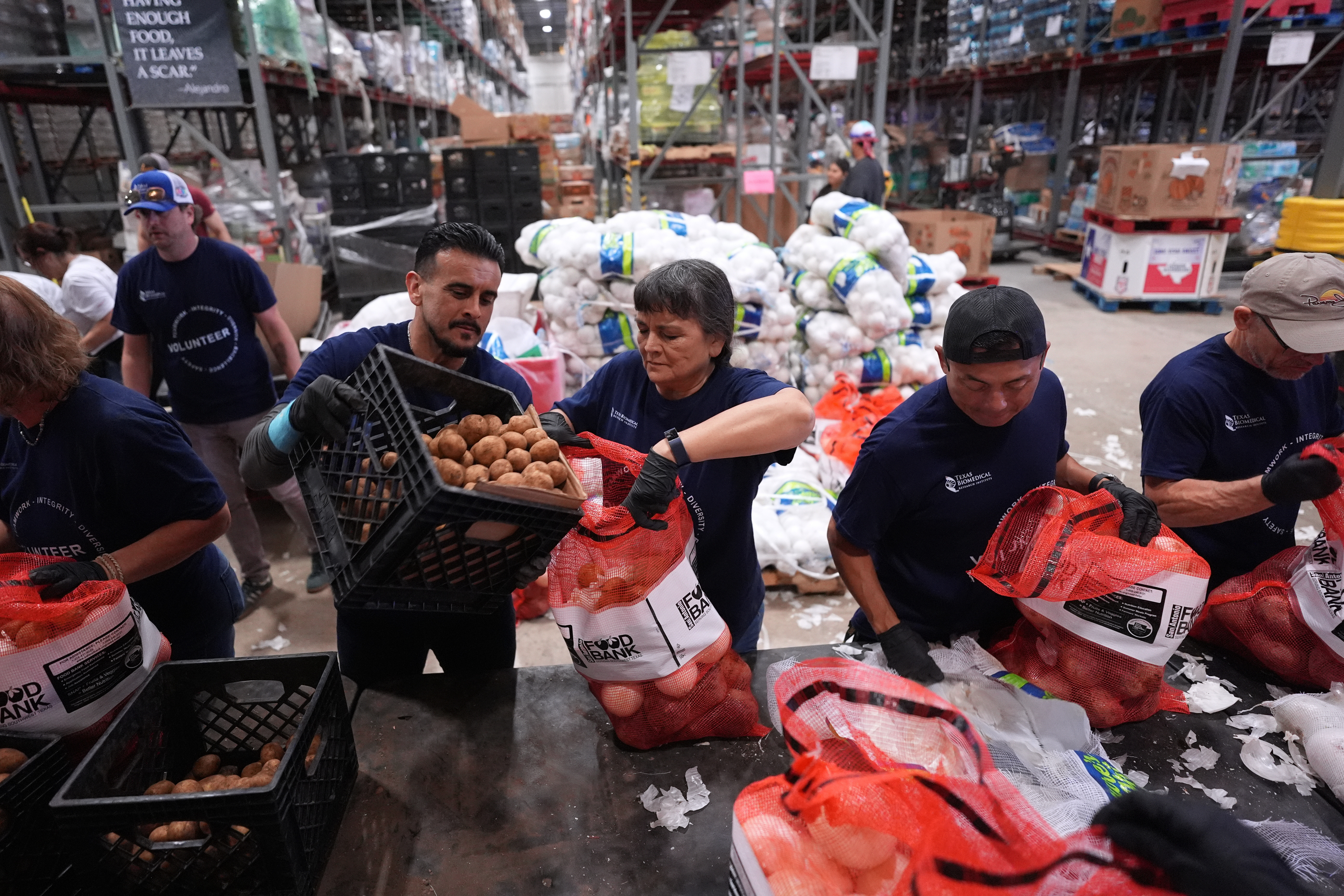 Volunteers at the San Antonio Food Bank load bags of potatoes for a food distribution for SNAP recipients and other households affected by the federal shutdown, Thursday, Nov. 6, 2025, in San Antonio.