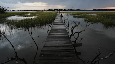 A storm moves through a salt marsh at sunset Monday, Oct. 6, 2025, in Charleston, S.C.
