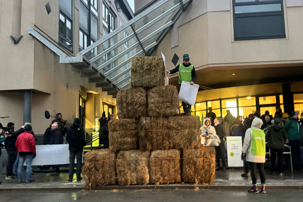 Haystacks pile up outside a court house as French oil giant TotalEnergies is on trial, accused by Belgian farmer Hugues Falys and three environmental groups of bearing responsibility for climate change, Wednesday, Nov. 19, 2025 in Tournai, Belgium.