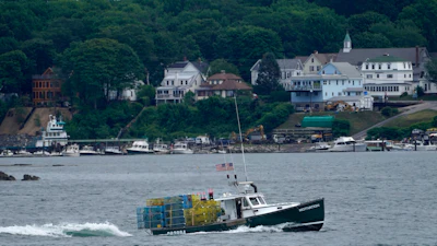 In this July 8, 2021, file photo, a lobster boat carries a heavy load of traps as it motors out to sea near Peaks Island in Portland, Maine.