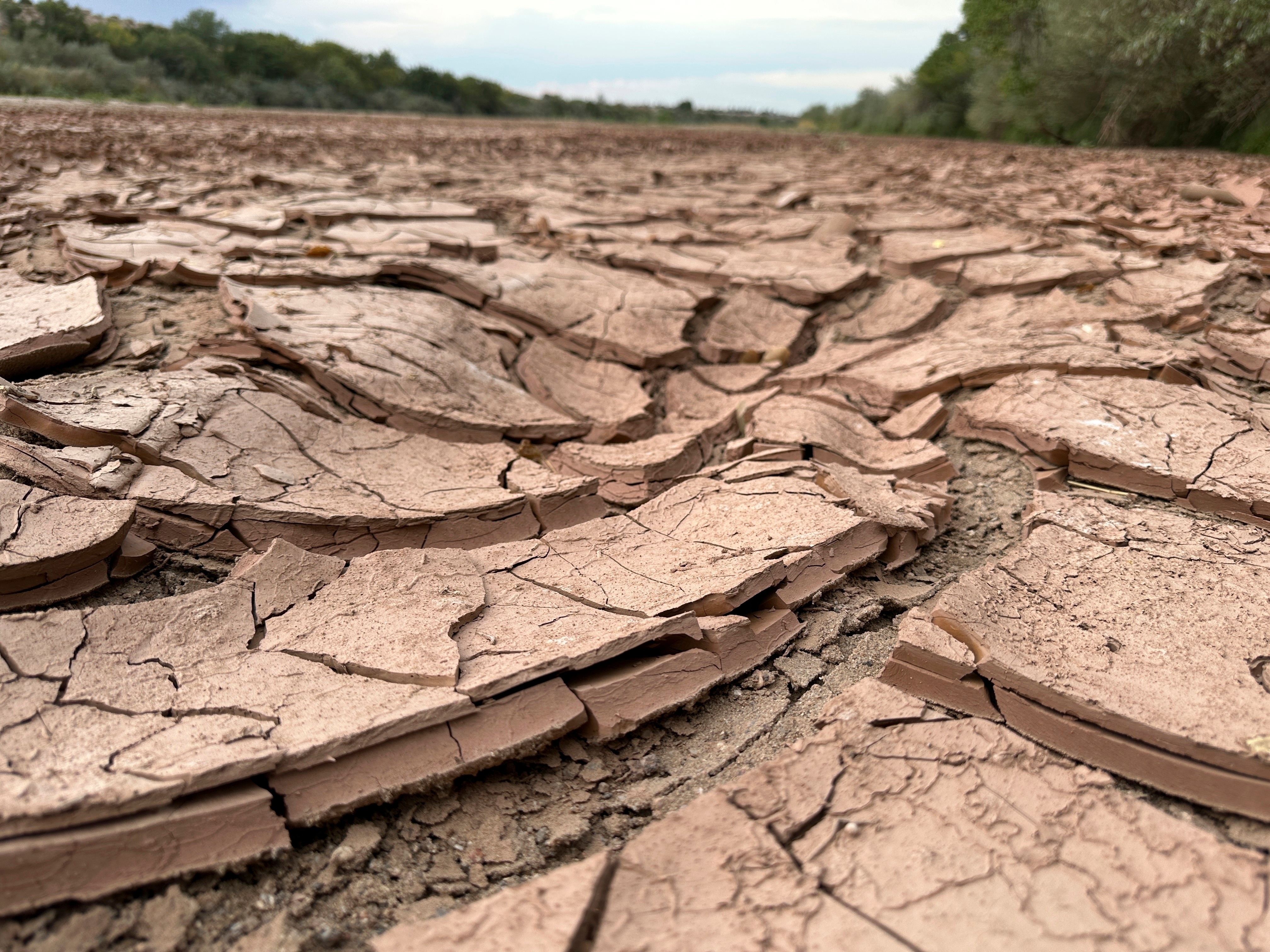 Cracked, dry mud makes up the riverbed of the Rio Grande in Albuquerque, N.M., on Thursday, Aug. 21, 2025.