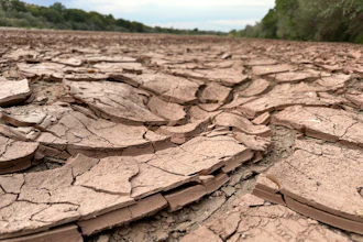 Cracked, dry mud makes up the riverbed of the Rio Grande in Albuquerque, N.M., on Thursday, Aug. 21, 2025.