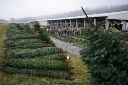 Buyers bid for holiday decorations at Buffalo Valley Produce Auction, Nov. 20, 2025, Mifflinburg, Pa.