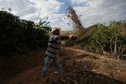 Coffee producer Jose Natal da Silva sifts coffee beans on his farm in Porciuncula, Rio de Janeiro state, Brazil, July 17, 2025.