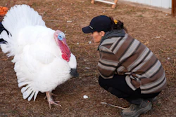 Kelly Nix, executive director of Luvin Arms Animal Sanctuary, confers with a pardoned tom turkey named Gus at the sanctuary in Erie, Colo., Nov. 21, 2025.