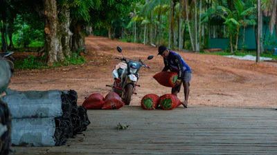 A man places sacks with acai at the port tarmac in Itacoa Miri, Brazil, Nov. 18, 2025.