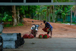 A man places sacks with acai at the port tarmac in Itacoa Miri, Brazil, Nov. 18, 2025.