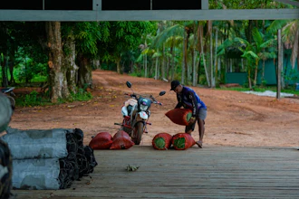 A man places sacks with acai at the port tarmac in Itacoa Miri, Brazil, Nov. 18, 2025.