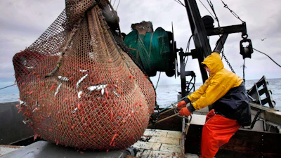 James Rich maneuvers a bulging net full of northern shrimp caught in the Gulf of Maine, Jan. 6, 2012.