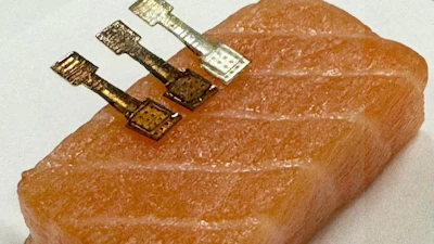 A new sensor determined exactly how fresh a piece of fish was within two minutes.