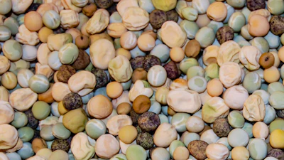 The Nordic gene bank, NordGen, contains almost 2,000 different types of peas.