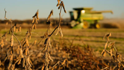 Austin Rohlfing harvests soybeans on his family's field near Boonville, Mo., Nov. 5, 2025.