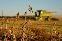 Austin Rohlfing harvests soybeans on his family's field near Boonville, Mo., Nov. 5, 2025.