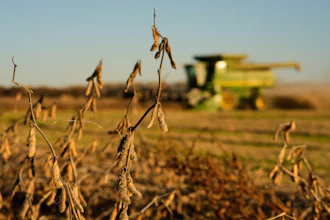 Austin Rohlfing harvests soybeans on his family's field near Boonville, Mo., Nov. 5, 2025.