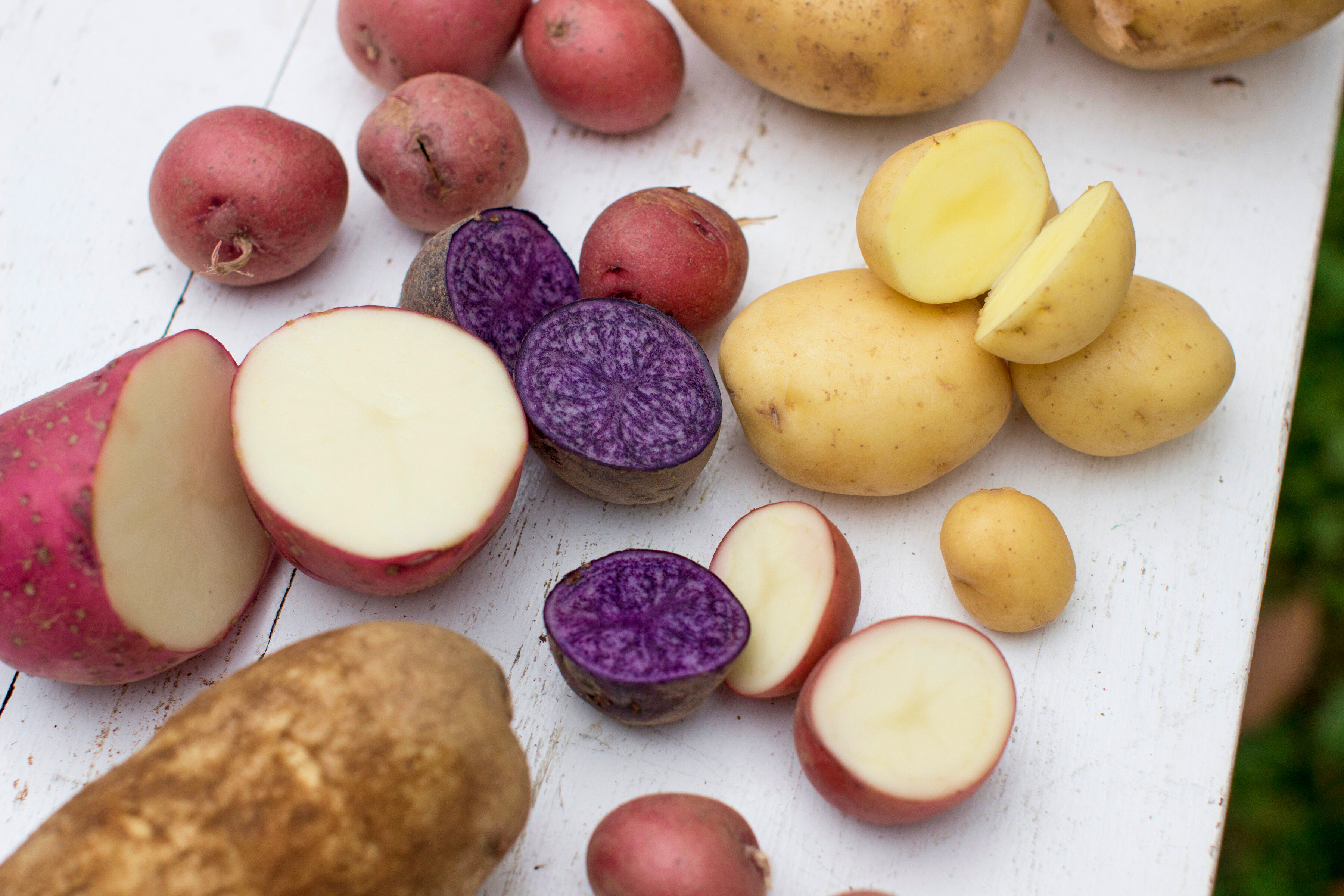 Potatoes are displayed in Concord, N.H., Sept. 29, 2014.