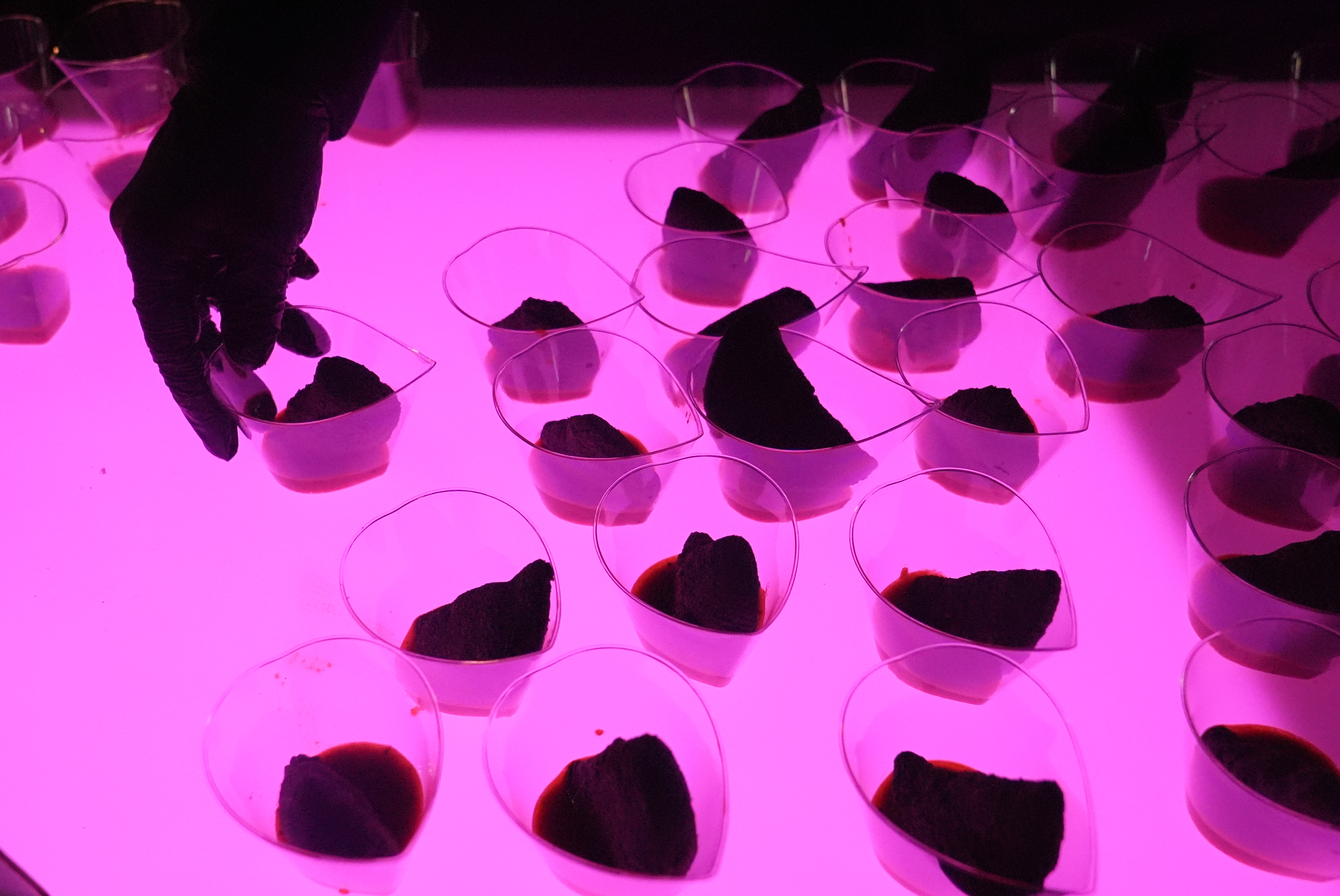 Octopus empanadas with sweet pepper tobiko sauce are arranged on a table at the South Beach Wine and Food Festival, Feb. 20, 2026, Miami Beach, Fla.
