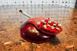 A dish named 'Tongue Kiss' served at restaurant Alchemist in Copenhagen, Feb. 11, 2026.