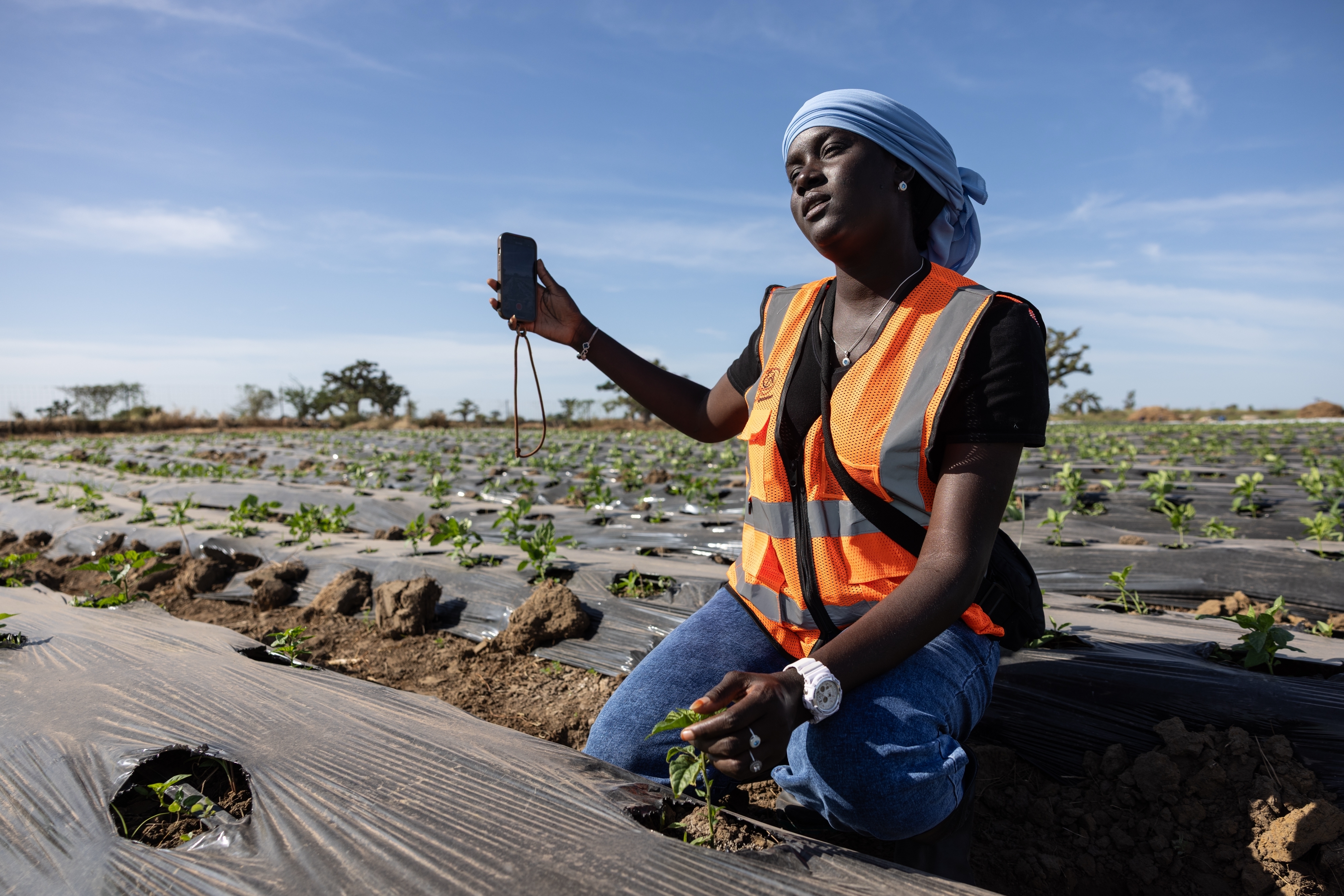 Nogaye Sene checks a plant on her farm in Joal Fadiout, Senegal, Dec. 11, 2025.