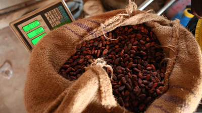Cocoa beans in a storage facility in Kona, Ghana, March 6, 2026.