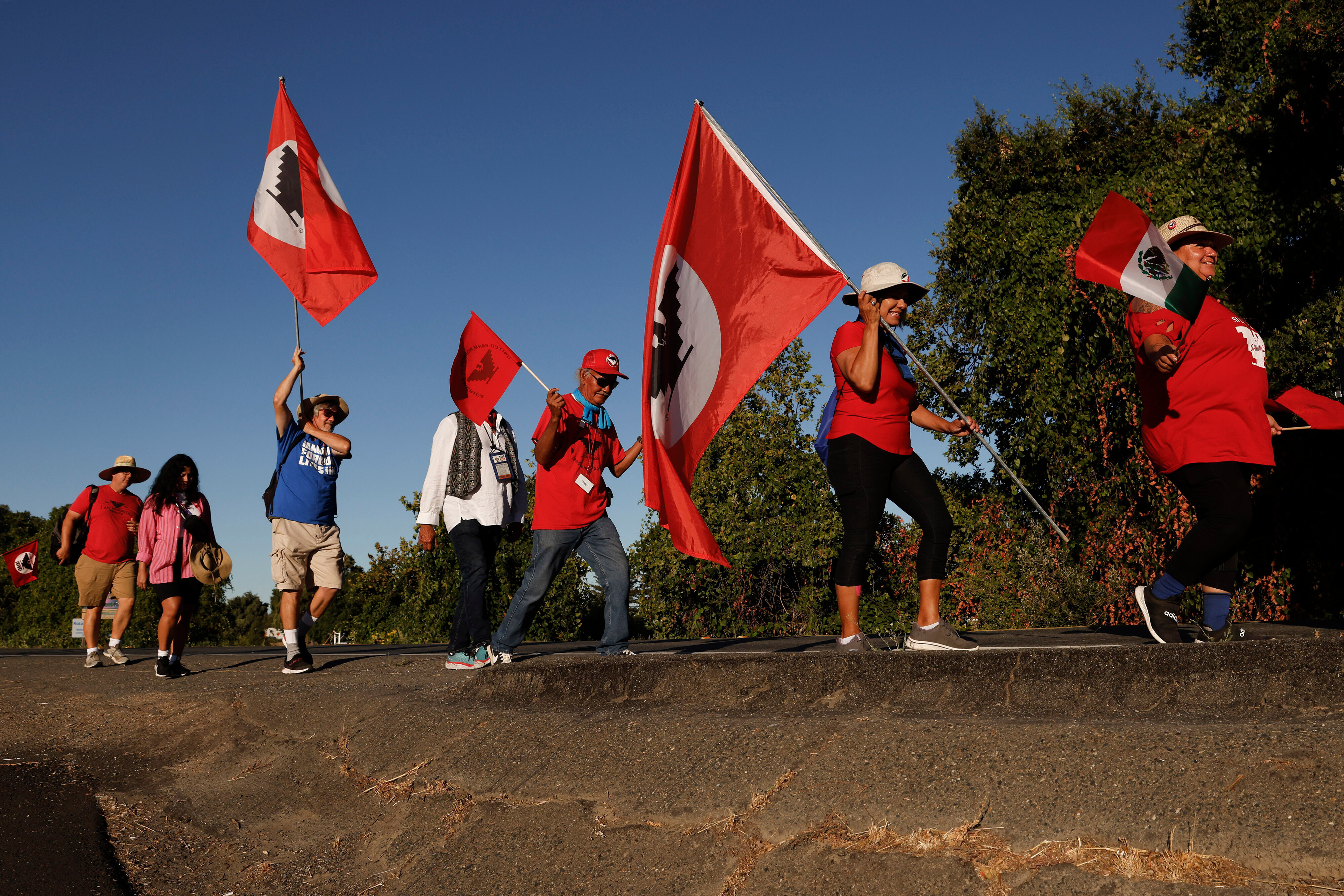 United Farm Workers members march along River Road from Walnut Grove, Calif., to Elk Grove, Calif., Aug. 24, 2022.