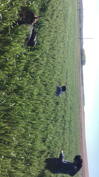 Croplands in Argentina.