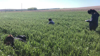 Croplands in Argentina.