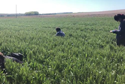 Croplands in Argentina.
