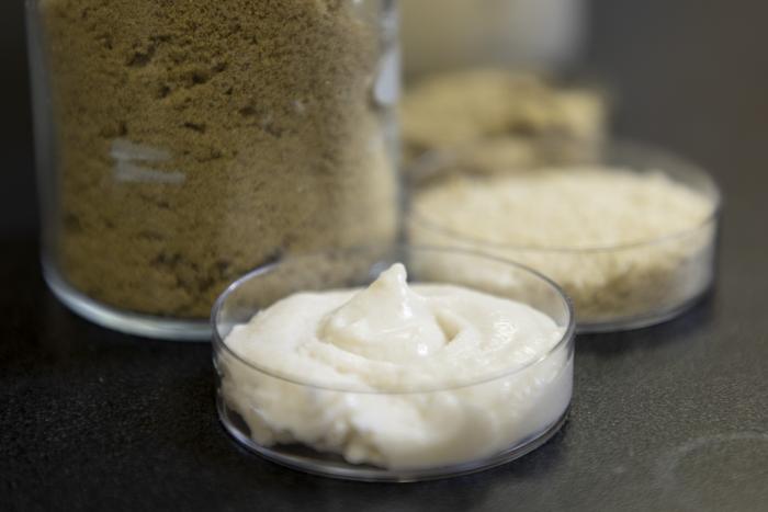 Food scientists with the Arkansas Agricultural Experiment Station investigated proteins from three parts of a single rice cultivar for plant-based cheesemaking and discovered each source offered different qualities.
