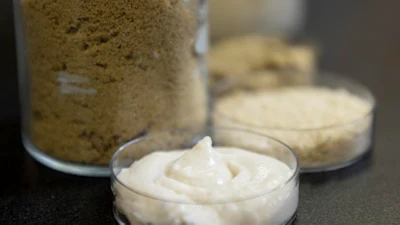 Food scientists with the Arkansas Agricultural Experiment Station investigated proteins from three parts of a single rice cultivar for plant-based cheesemaking and discovered each source offered different qualities.