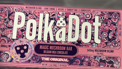 PolkaDot-branded chocolate bars were marketed as non-hallucinogenic 'mushroom blends,' but lab tests showed otherwise.
